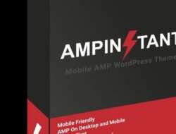 Theme WordPress support AMP pilihan para Blogger Indonesia