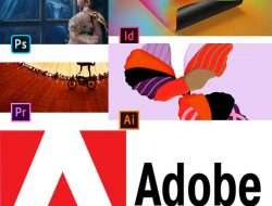 Kamu Perlu Tahu, apa saja Jenis-jenis Software Adobe dan Kegunaannya