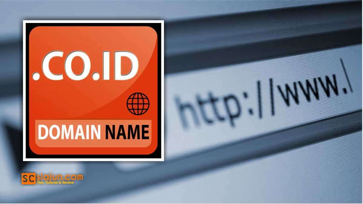 Jasa Register Domain co.id dan or.id Murah Terpecaya Langsung Jadi - Siajun.com