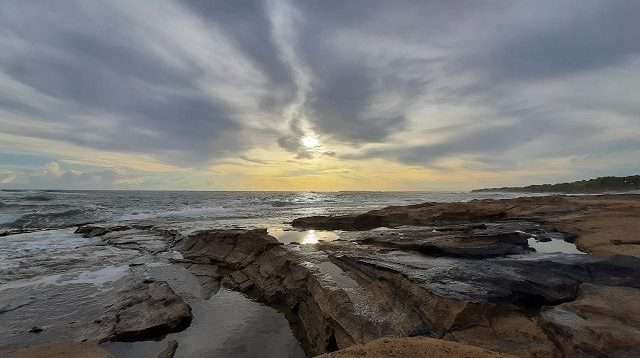 taman pandan pantai muara